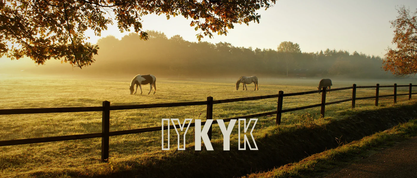 Authentic Kentucky Goods Since 2011